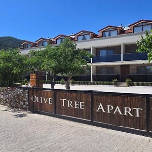 Olive Tree Apart Hotel